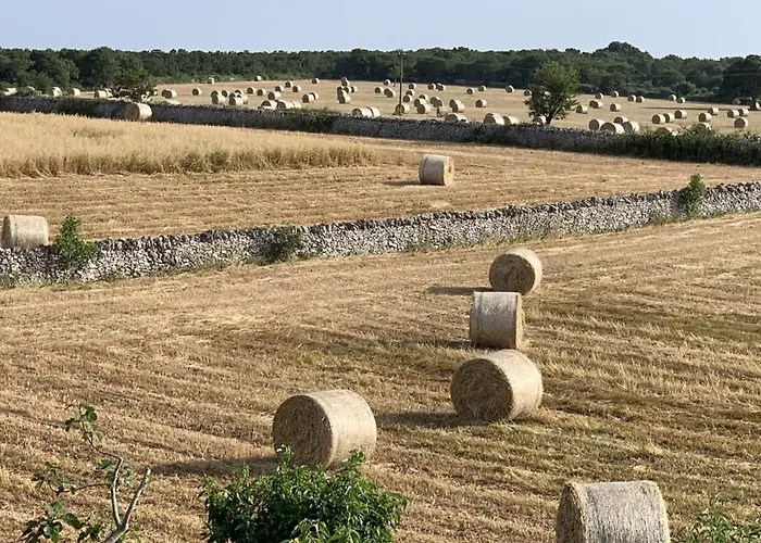 Masseria Chianca - Le Rose Konukevi